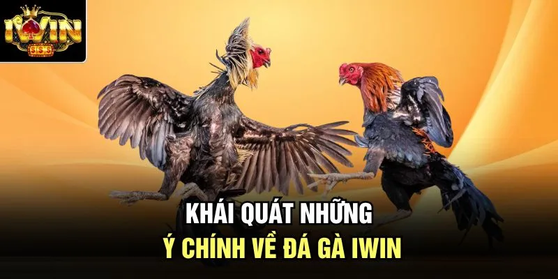 Khái quát những ý chính về đá gà Iwin